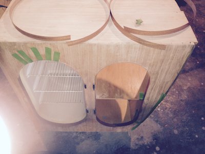 Installing Edge Banding