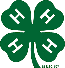 4 H.png