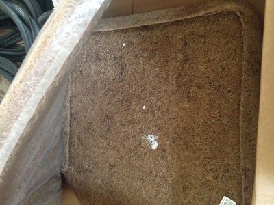 photo 4.JPG