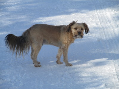 what ya wait n for? already