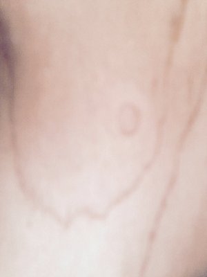 image.jpg (1.04 MiB) Viewed 2514 times #marlaswaxedwood